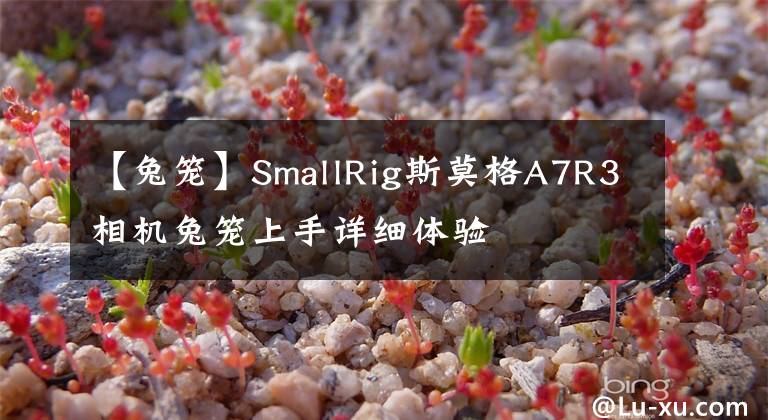 【兔笼】SmallRig斯莫格A7R3相机兔笼上手详细体验