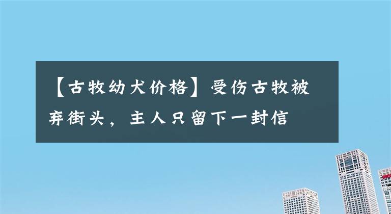 【古牧幼犬价格】受伤古牧被弃街头，主人只留下一封信