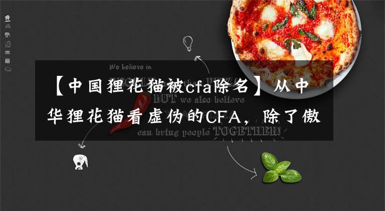 【中国狸花猫被cfa除名】从中华狸花猫看虚伪的CFA，除了傲慢与偏见还有啥？