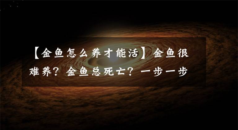 【金鱼怎么养才能活】金鱼很难养？金鱼总死亡？一步一步教您养金鱼，做到就能不死鱼