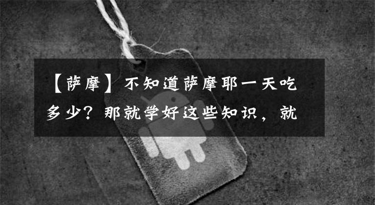 【萨摩】不知道萨摩耶一天吃多少？那就学好这些知识，就养出健康的萨摩