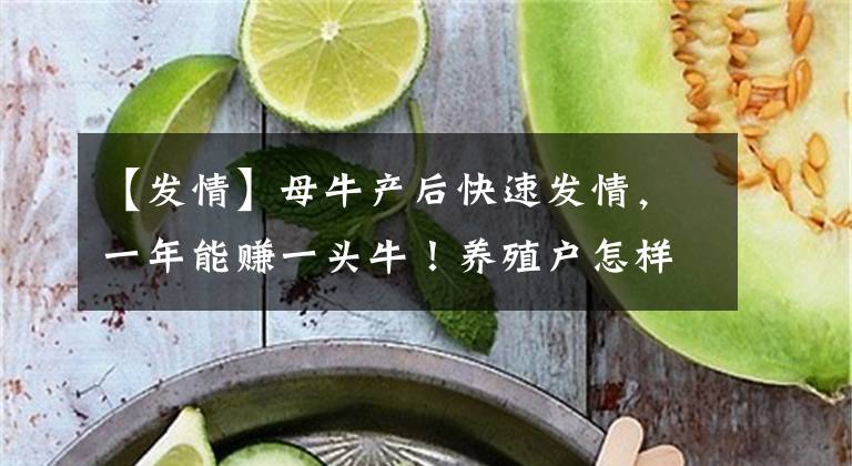 【发情】母牛产后快速发情，一年能赚一头牛！养殖户怎样才能做到？文章配图