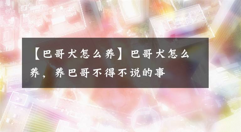 【巴哥犬怎么养】巴哥犬怎么养，养巴哥不得不说的事