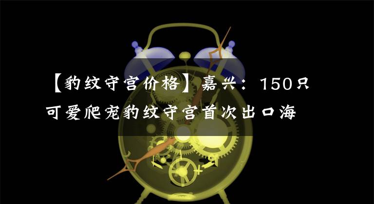 【豹纹守宫价格】嘉兴：150只可爱爬宠豹纹守宫首次出口海外