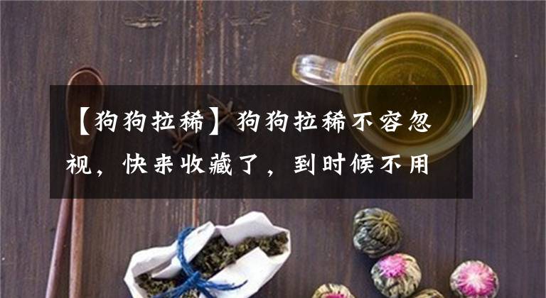 【狗狗拉稀】狗狗拉稀不容忽视，快来收藏了，到时候不用担心