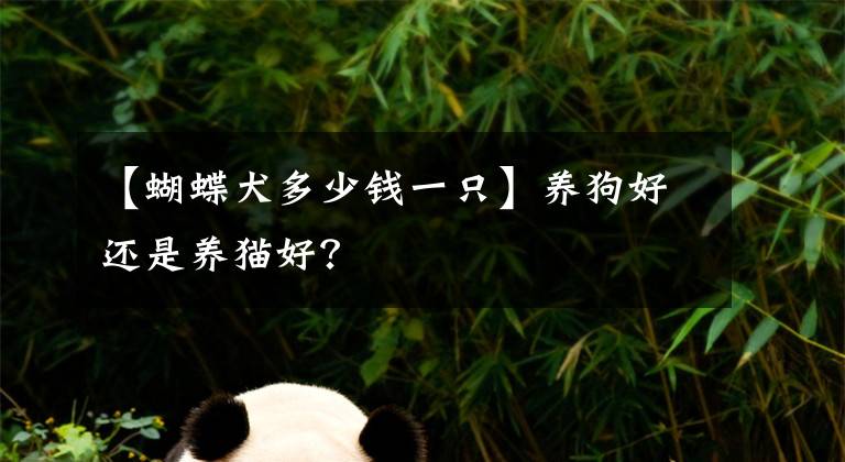 【蝴蝶犬多少钱一只】养狗好还是养猫好？