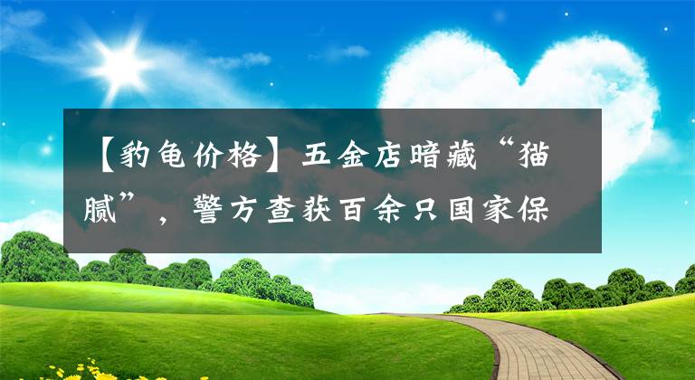 【豹龟价格】五金店暗藏“猫腻”，警方查获百余只国家保护鹦鹉！