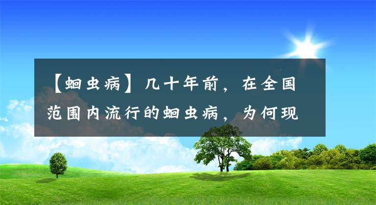 【蛔虫病】几十年前，在全国范围内流行的蛔虫病，为何现在很少见到了？