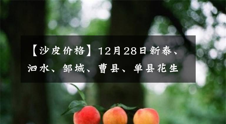 【沙皮价格】12月28日新泰、泗水、邹城、曹县、单县花生价格，你卖对了么