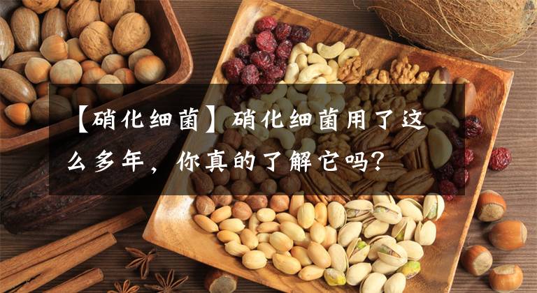 【硝化细菌】硝化细菌用了这么多年，你真的了解它吗？