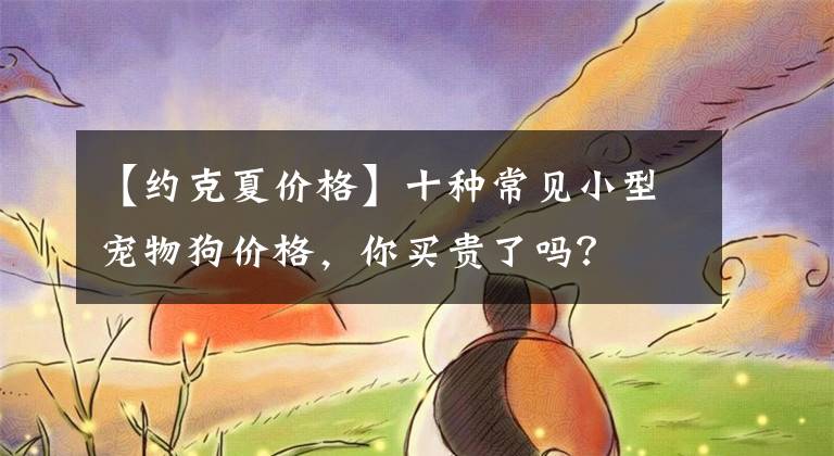 【约克夏价格】十种常见小型宠物狗价格，你买贵了吗？