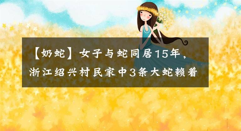 【奶蛇】女子与蛇同居15年，浙江绍兴村民家中3条大蛇赖着不走，啥情况？