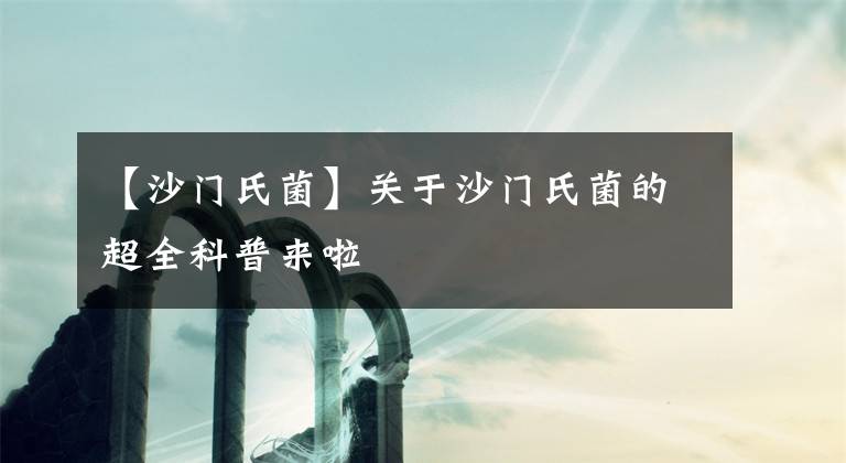 【沙门氏菌】关于沙门氏菌的超全科普来啦