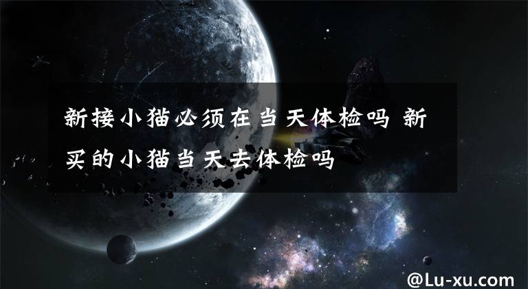 新接小猫必须在当天体检吗 新买的小猫当天去体检吗文章配图
