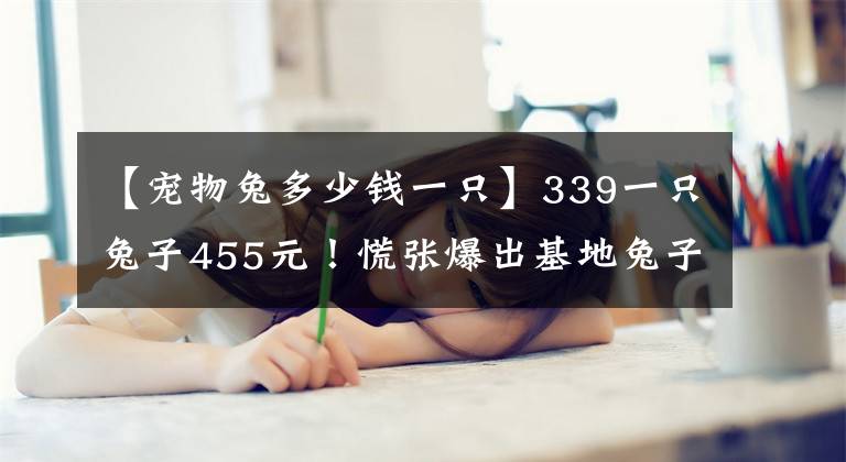 【宠物兔多少钱一只】339一只兔子455元！慌张爆出基地兔子价格！高出市价一倍