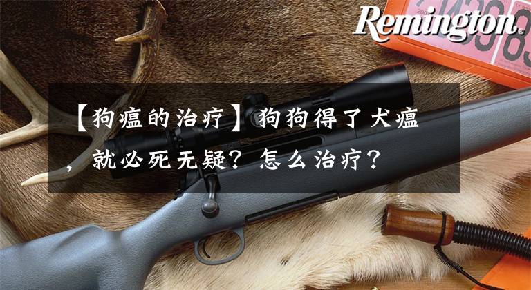 【狗瘟的治疗】狗狗得了犬瘟，就必死无疑？怎么治疗？