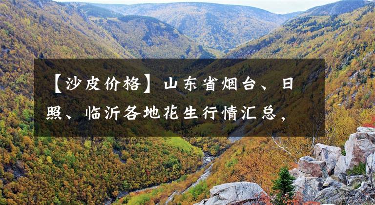 【沙皮价格】山东省烟台、日照、临沂各地花生行情汇总，手扒米收5.2-5.3元/斤