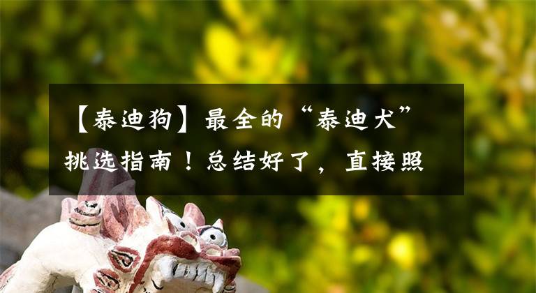 【泰迪狗】最全的“泰迪犬”挑选指南！总结好了，直接照搬