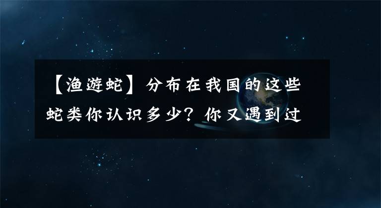 【渔游蛇】分布在我国的这些蛇类你认识多少？你又遇到过哪些？