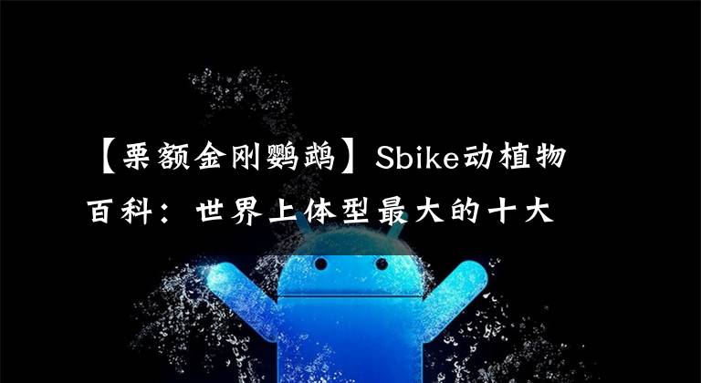 【栗额金刚鹦鹉】Sbike动植物百科：世界上体型最大的十大鸟类排行