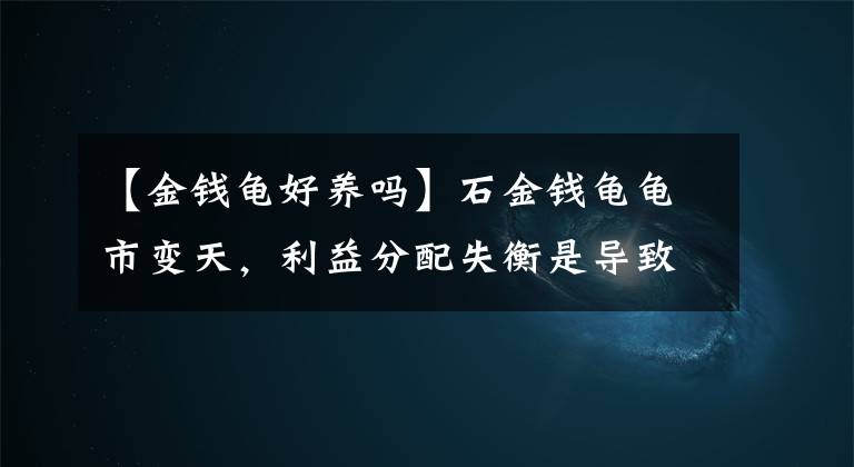 【金钱龟好养吗】石金钱龟龟市变天，利益分配失衡是导致越冬耗损率高的罪魁祸首？