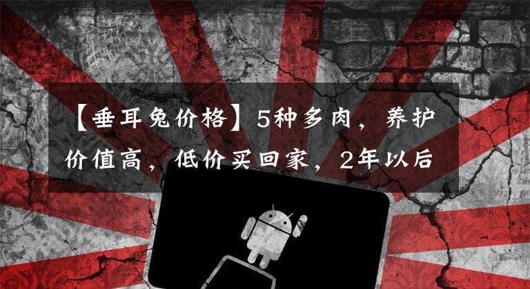 【垂耳兔价格】5种多肉，养护价值高，低价买回家，2年以后，价格能翻8倍