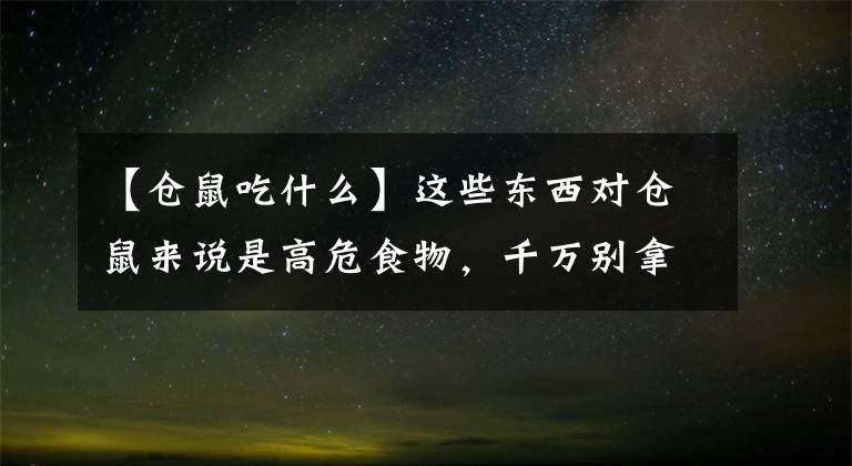 【仓鼠吃什么】这些东西对仓鼠来说是高危食物，千万别拿来喂仓鼠，可能会害死它