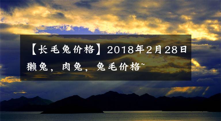 【长毛兔价格】2018年2月28日獭兔，肉兔，兔毛价格~