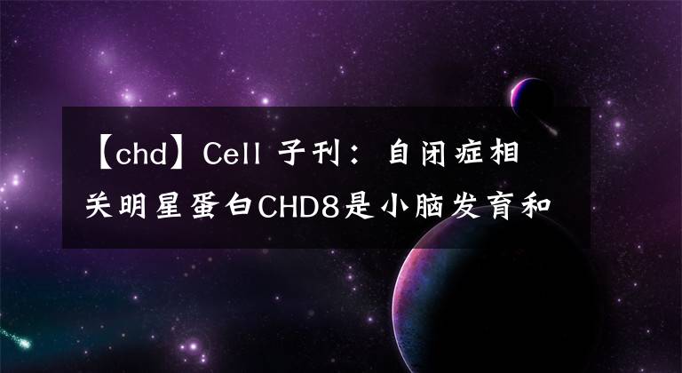 【chd】Cell 子刊：自闭症相关明星蛋白CHD8是小脑发育和运动功能所必需的