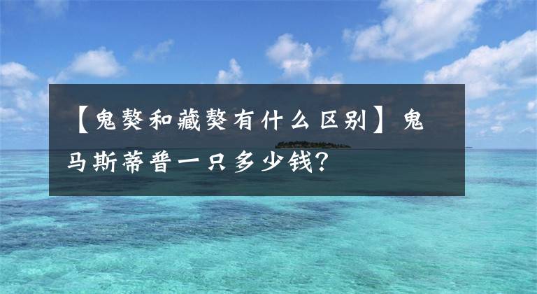 【鬼獒和藏獒有什么区别】鬼马斯蒂普一只多少钱？