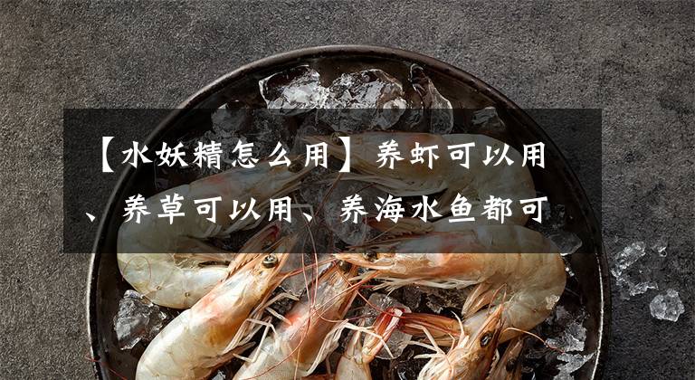 【水妖精怎么用】养虾可以用、养草可以用、养海水鱼都可以用的过滤方式