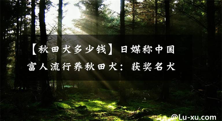 【秋田犬多少钱】日媒称中国富人流行养秋田犬：获奖名犬一只卖60万