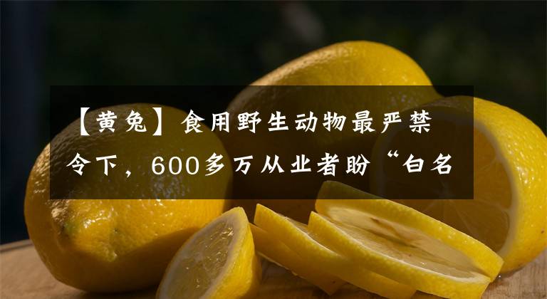 【黄兔】食用野生动物最严禁令下，600多万从业者盼“白名单”，从业者认为鸵鸟、鳄鱼或不会禁