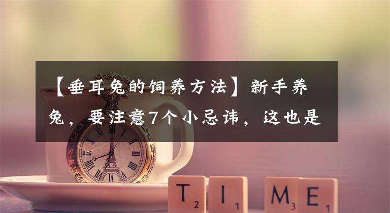 【垂耳兔的饲养方法】新手养兔，要注意7个小忌讳，这也是经验老道的老农偷偷告诉我的