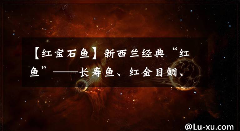 【红宝石鱼】新西兰经典“红鱼”——长寿鱼、红金目鲷、红宝石你能分清楚吗？