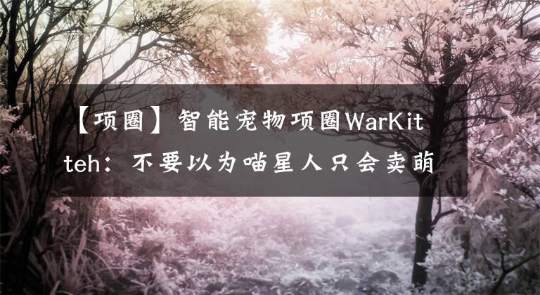 【项圈】智能宠物项圈WarKitteh：不要以为喵星人只会卖萌，它们还能黑掉WiFi