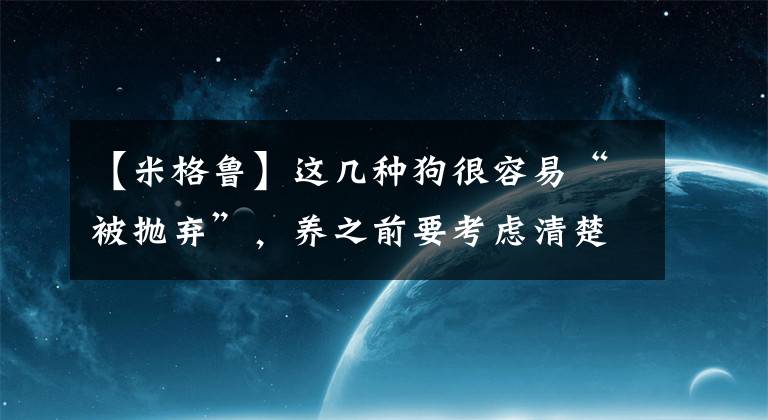 【米格鲁】这几种狗很容易“被抛弃”，养之前要考虑清楚