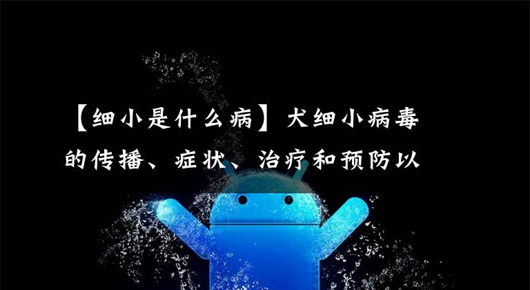 【细小是什么病】犬细小病毒的传播、症状、治疗和预防以及受污染区域的消毒方法