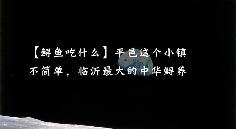 【鲟鱼吃什么】平邑这个小镇不简单，临沂最大的中华鲟养殖基地就在这里