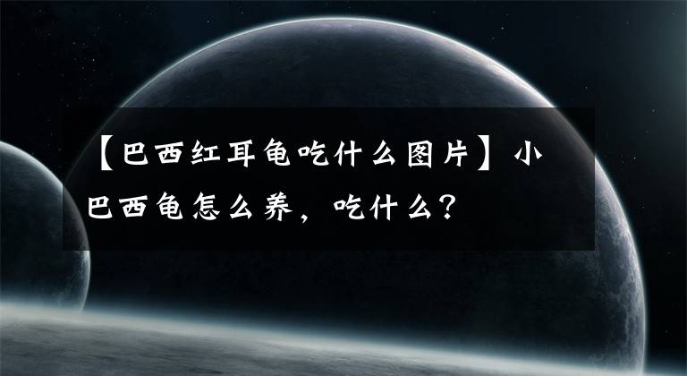 【巴西红耳龟吃什么图片】小巴西龟怎么养，吃什么？