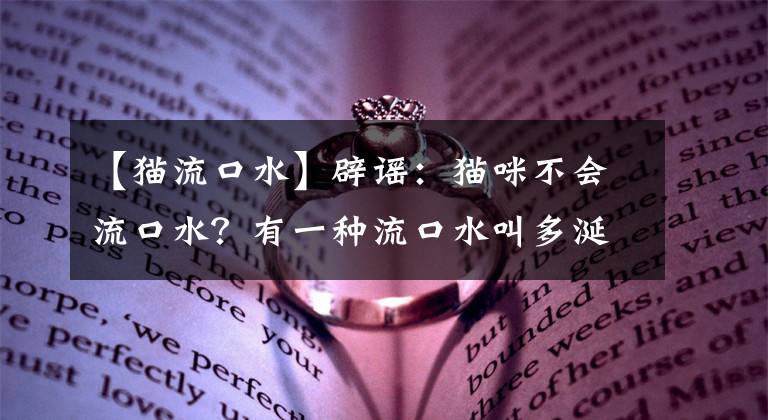 【猫流口水】辟谣：猫咪不会流口水？有一种流口水叫多涎症，甚至会危及生命