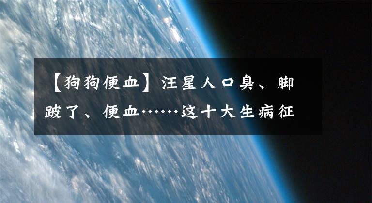 【狗狗便血】汪星人口臭、脚跛了、便血……这十大生病征兆，一定要注意！