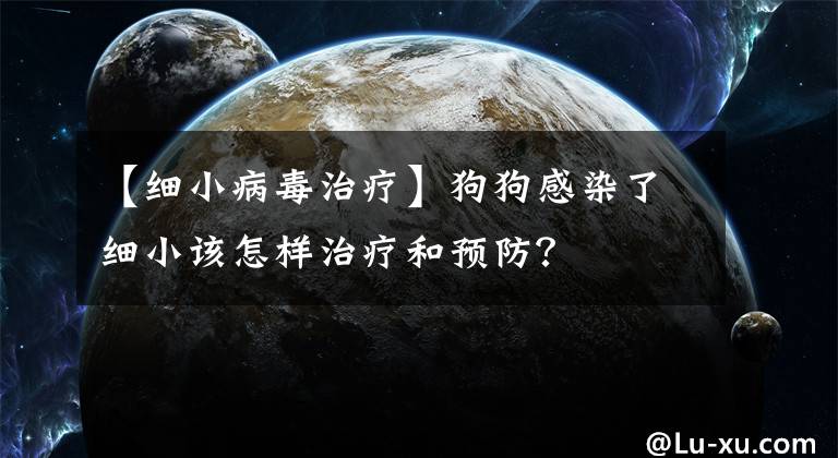 【细小病毒治疗】狗狗感染了细小该怎样治疗和预防？