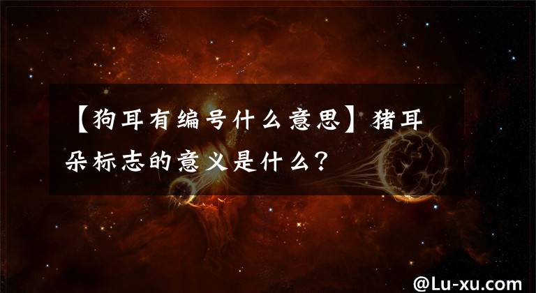 【狗耳有编号什么意思】猪耳朵标志的意义是什么？