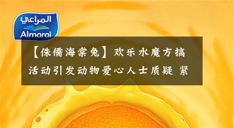 【侏儒海棠兔】欢乐水魔方搞活动引发动物爱心人士质疑 紧急叫停小兔表演