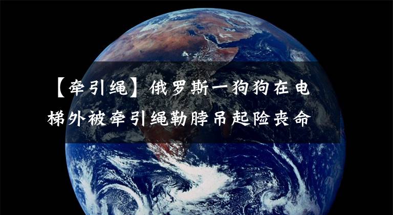 【牵引绳】俄罗斯一狗狗在电梯外被牵引绳勒脖吊起险丧命 幸被邻居救下