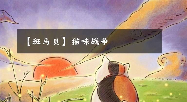 【斑马贝】猫咪战争