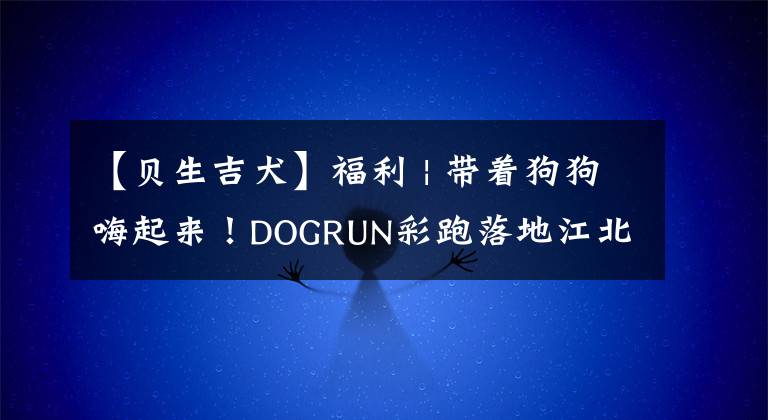 【贝生吉犬】福利 | 带着狗狗嗨起来！DOGRUN彩跑落地江北，万元“锦鲤”等着你~