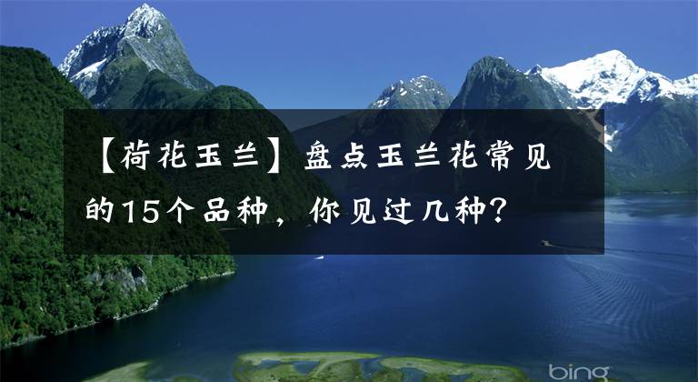 【荷花玉兰】盘点玉兰花常见的15个品种，你见过几种？