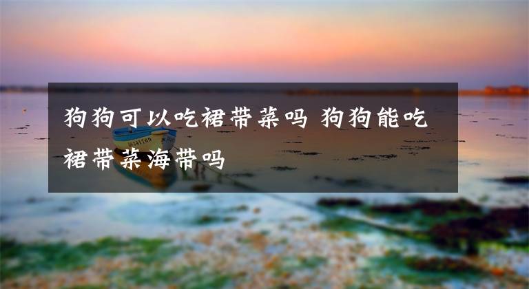 狗狗可以吃裙带菜吗 狗狗能吃裙带菜海带吗文章配图